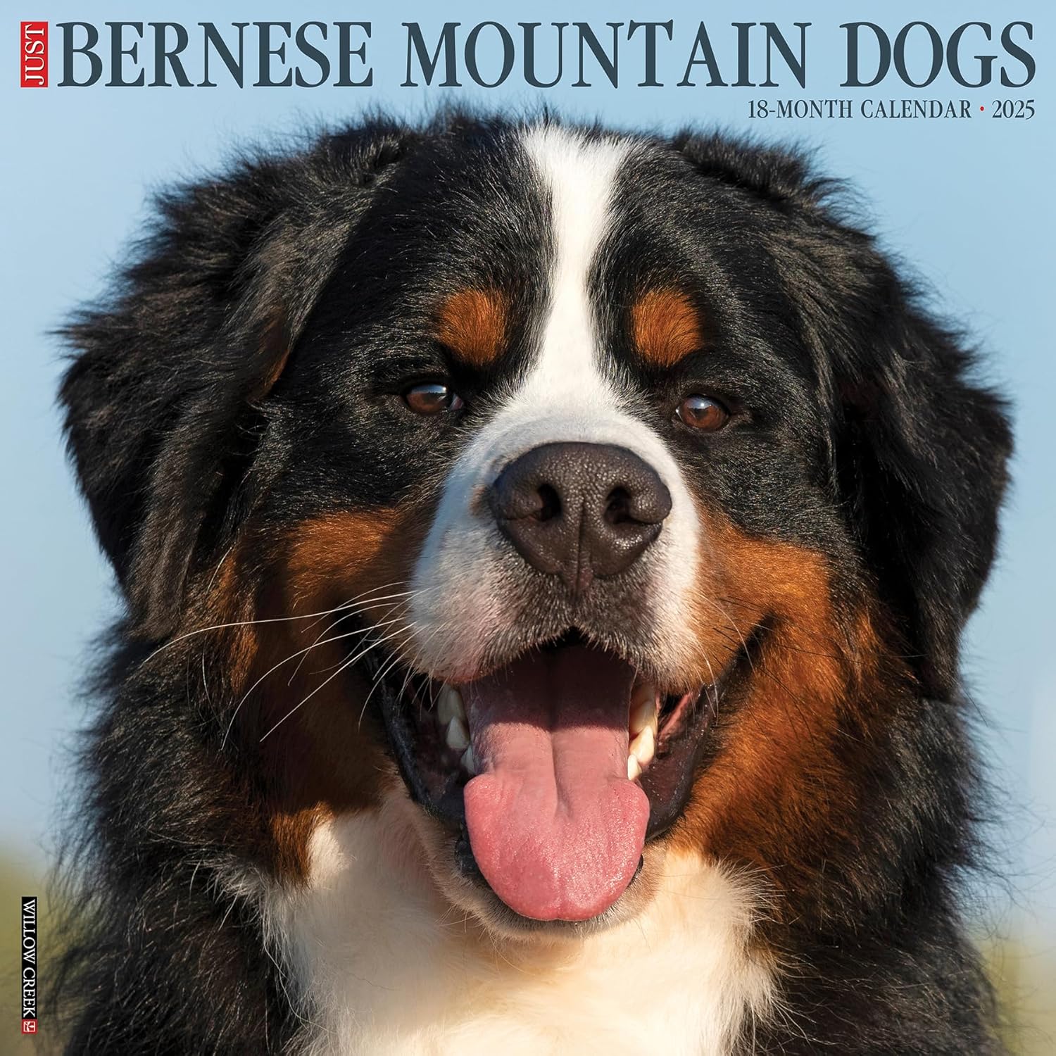 Just Bernese Mountain Dogs Wall Calendar 2025 | Bookazine HK