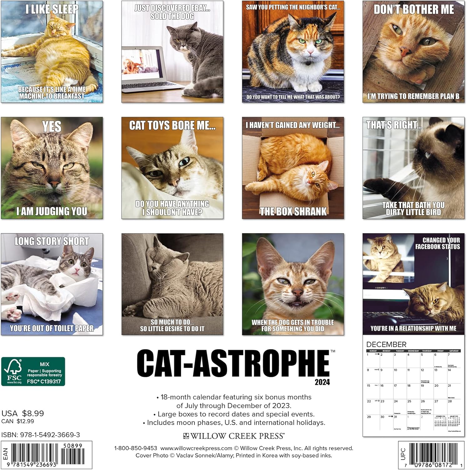cat-astrophe-2024-calendar