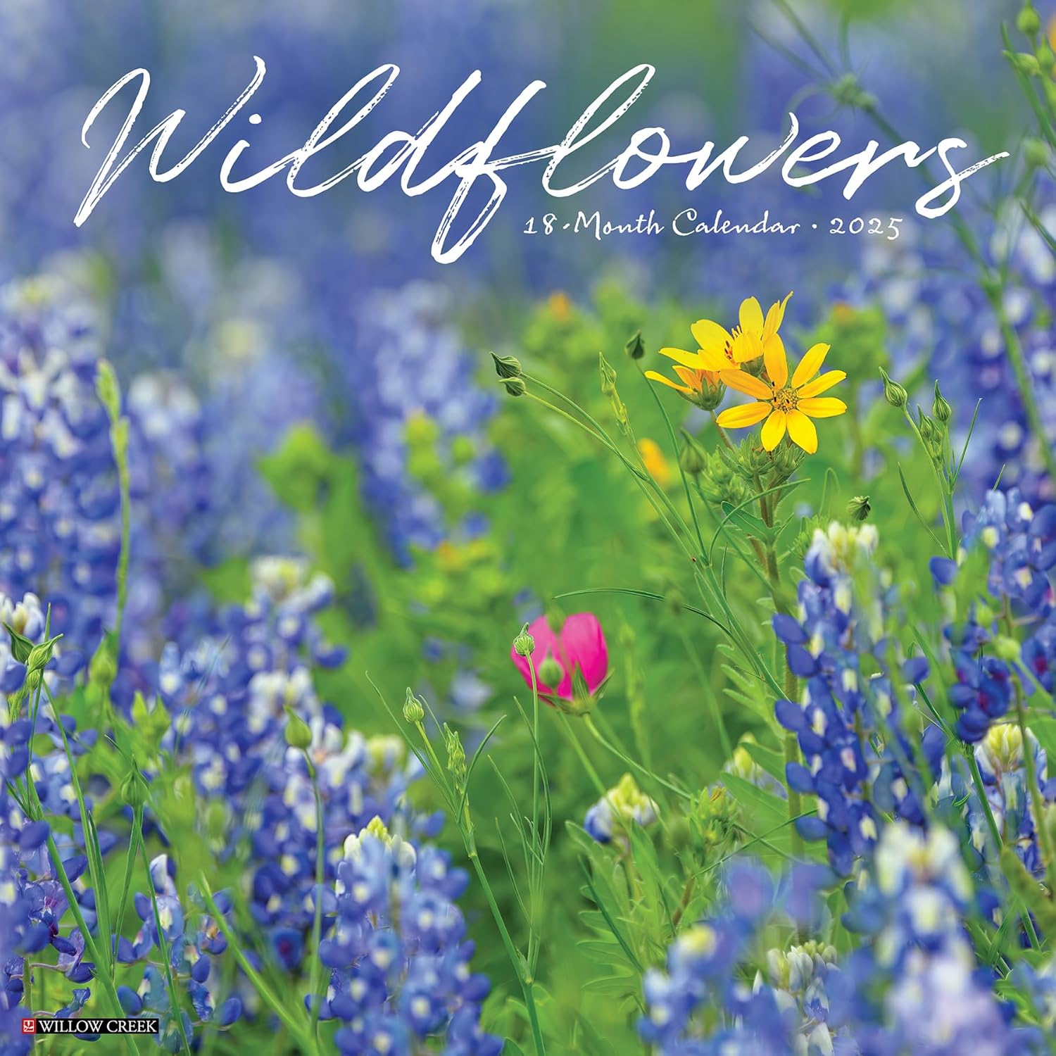 Wildflowers Wall Calendar 2025 | Bookazine HK