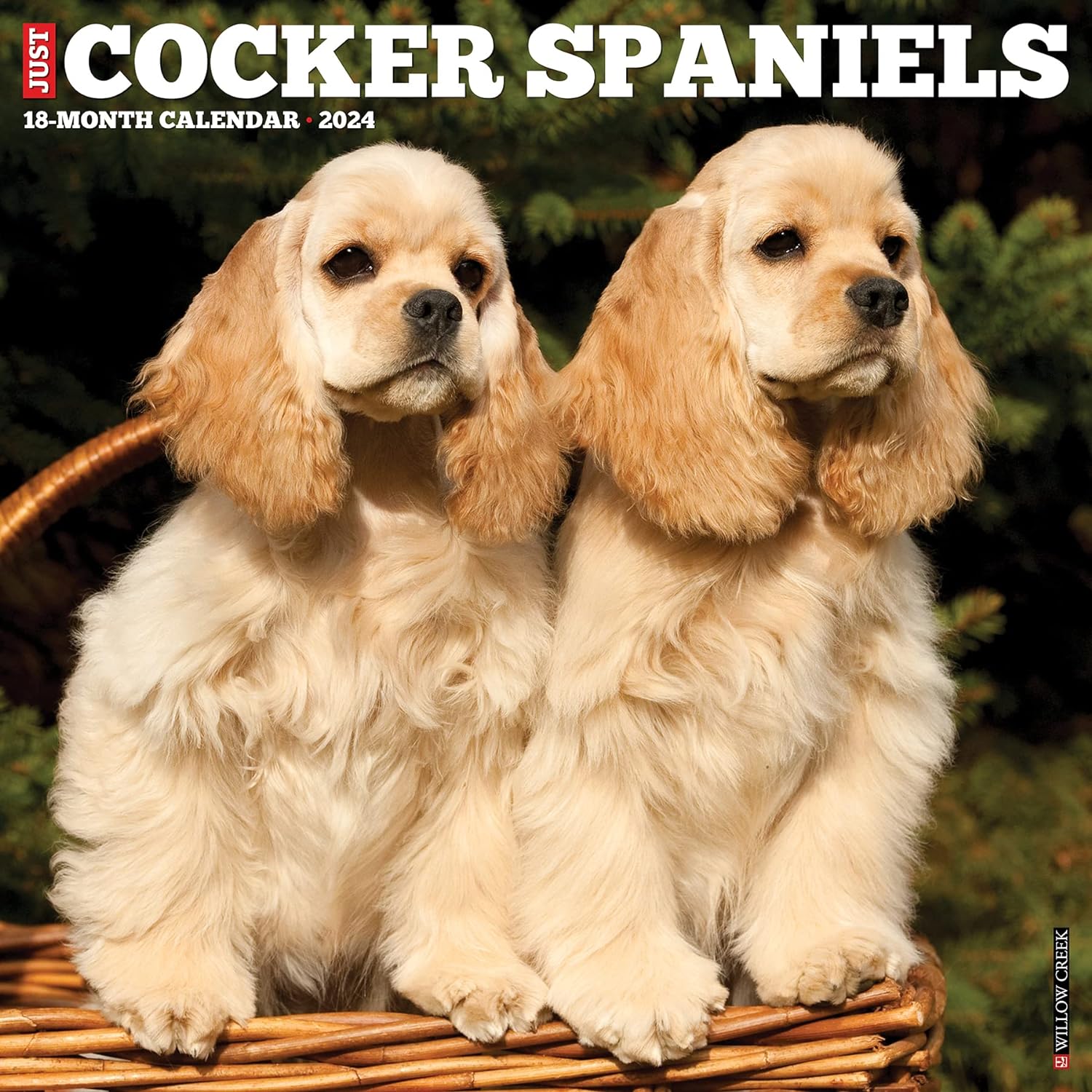 just-cocker-spaniels-2024-calendar