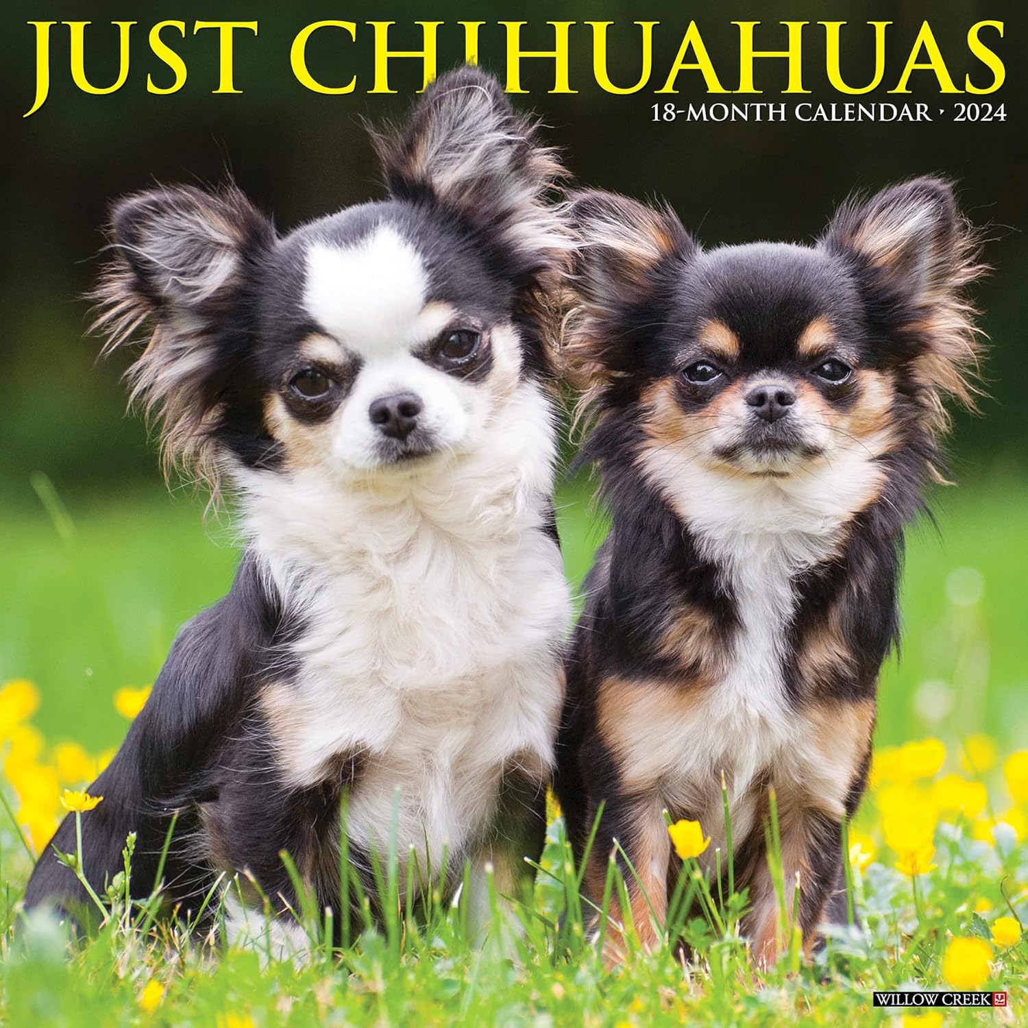 just-chihuahuas-2024-calendar