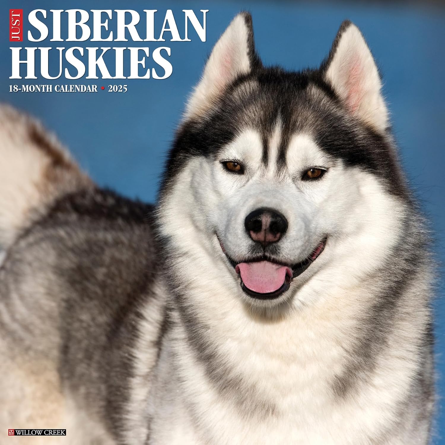 Just Siberian Huskies Wall Calendar 2025 | Bookazine HK