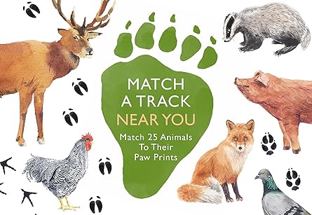 Match A Track Near You | Bookazine HK