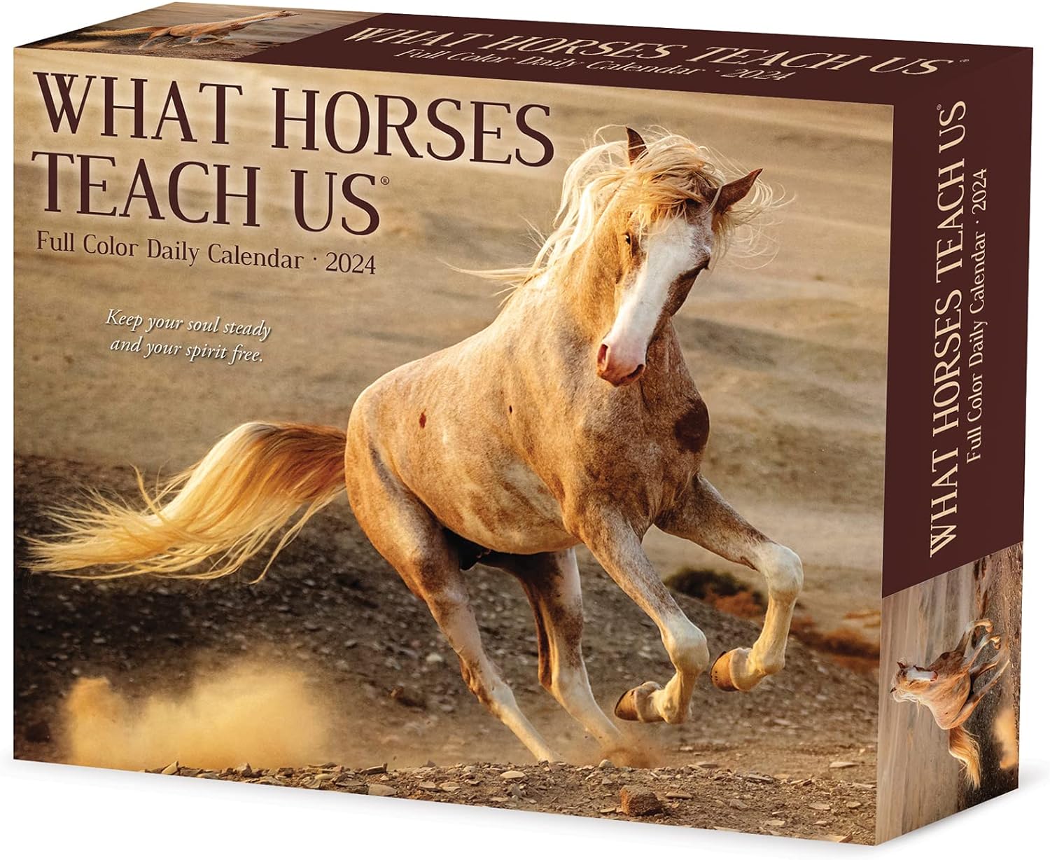 What Horses Teach Us Daily 2024 Box/Desk Calendar