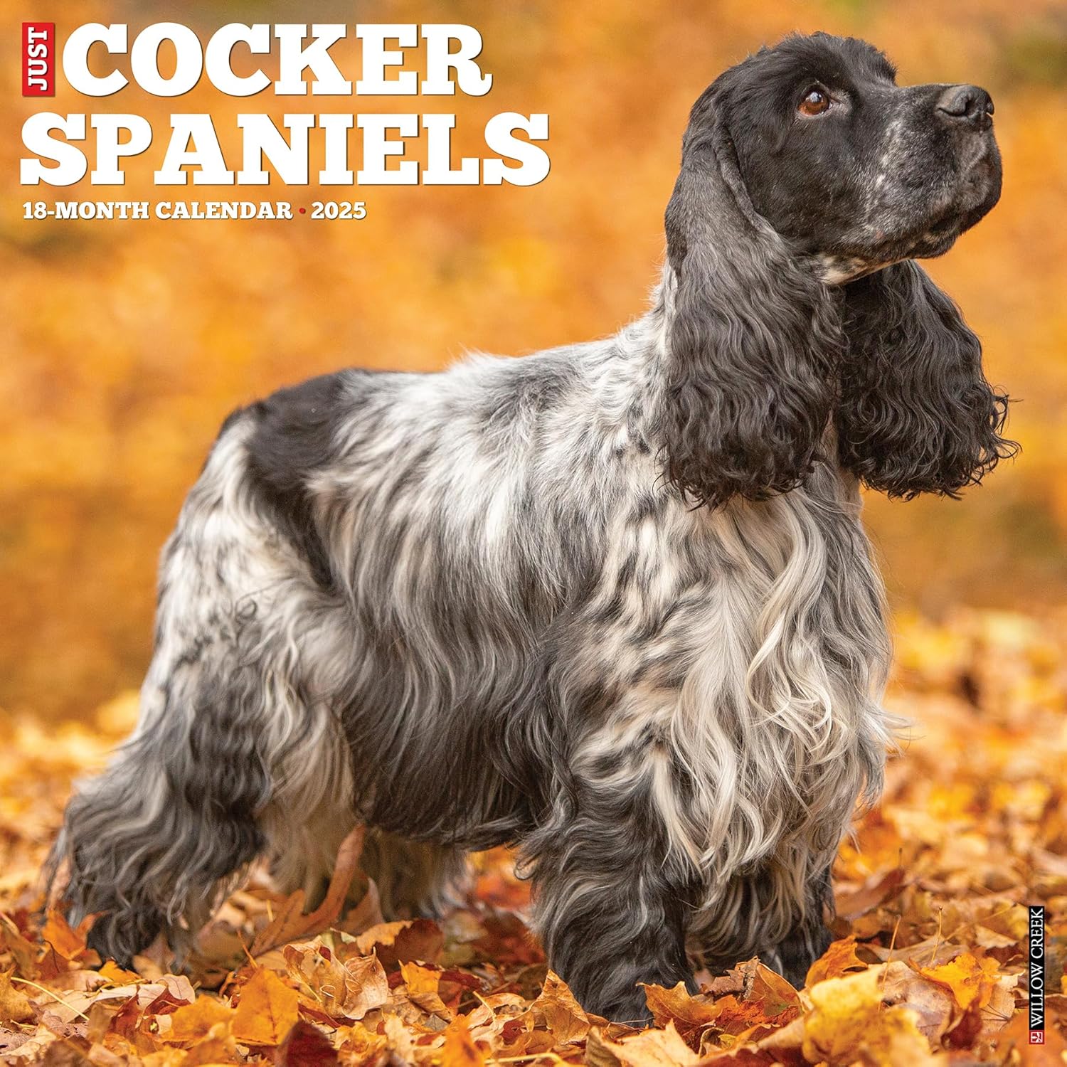 Just Cocker Spaniels Wall Calendar 2025 | Bookazine HK