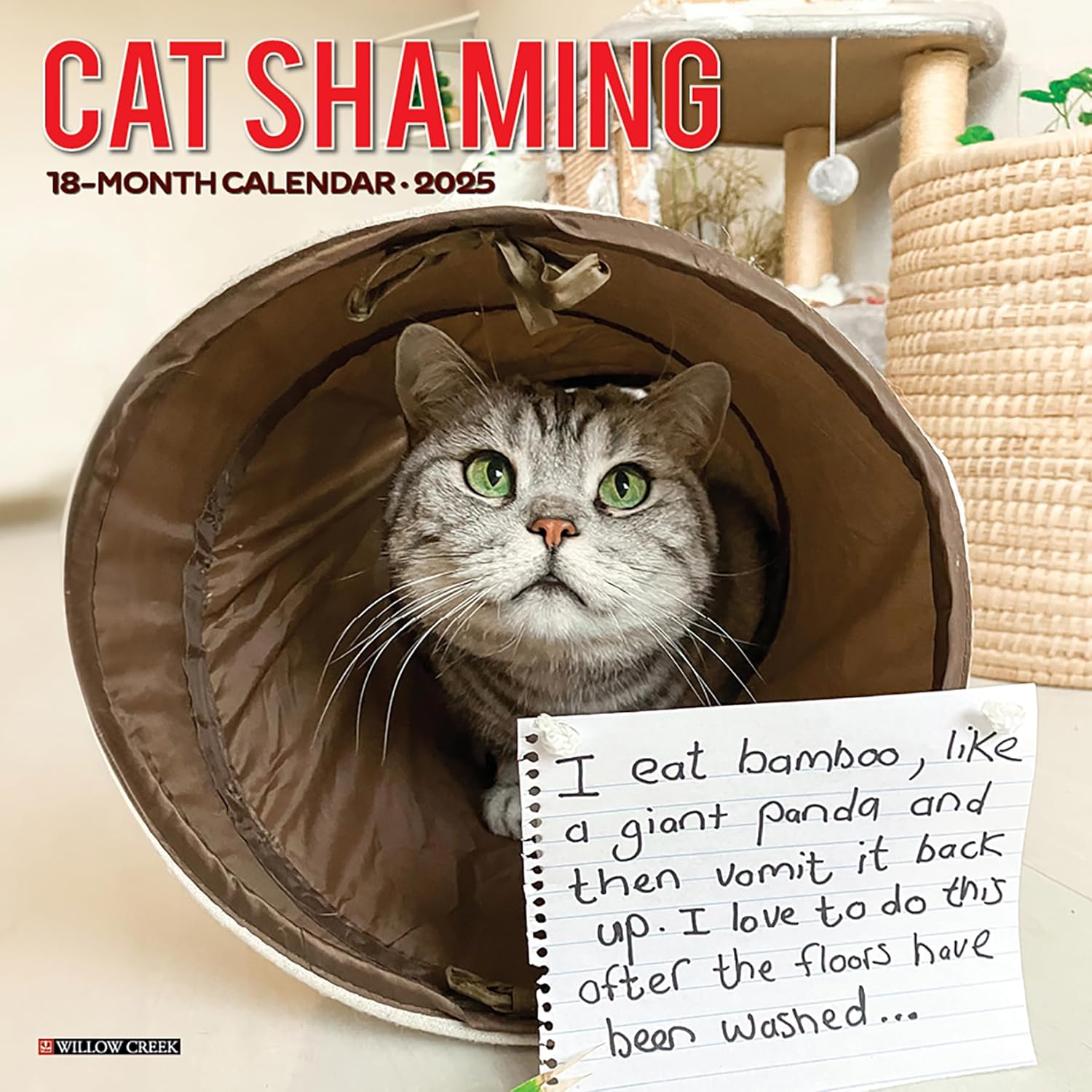 Cat Shaming Wall Calendar 2025 | Bookazine HK