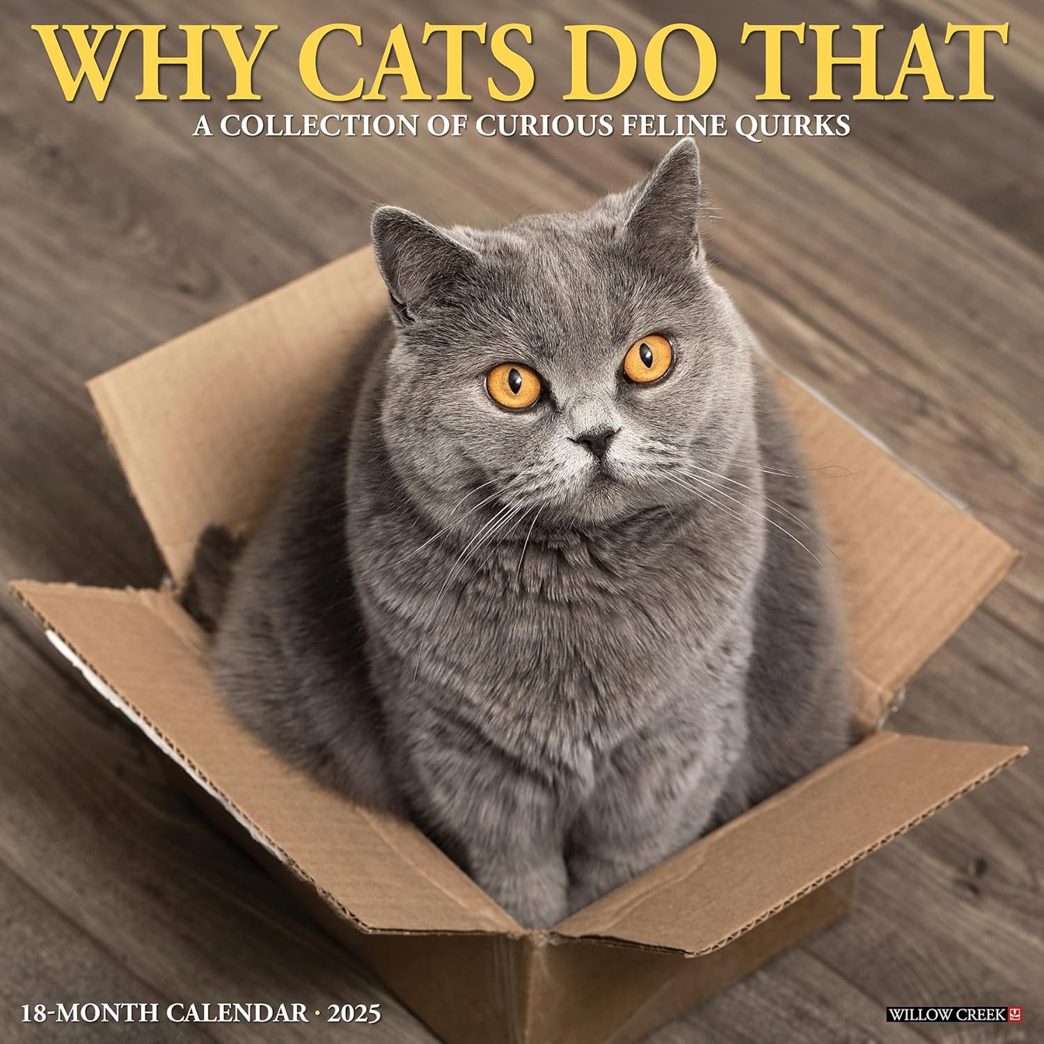 Why Cats Do That Wall Calendar 2025 | Bookazine HK