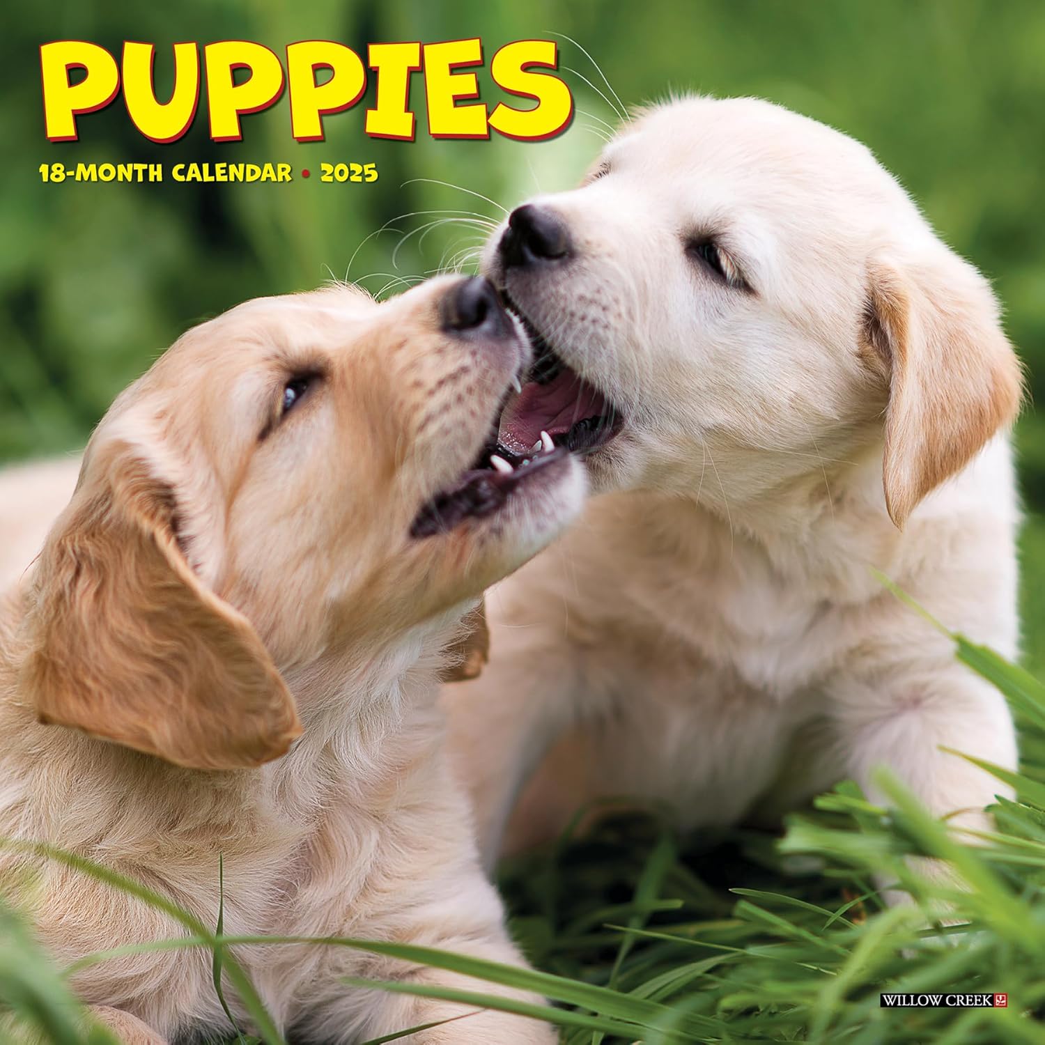 Puppies Mini Wall Calendar 2025 | Bookazine HK