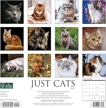 just-cats-2024-calendar