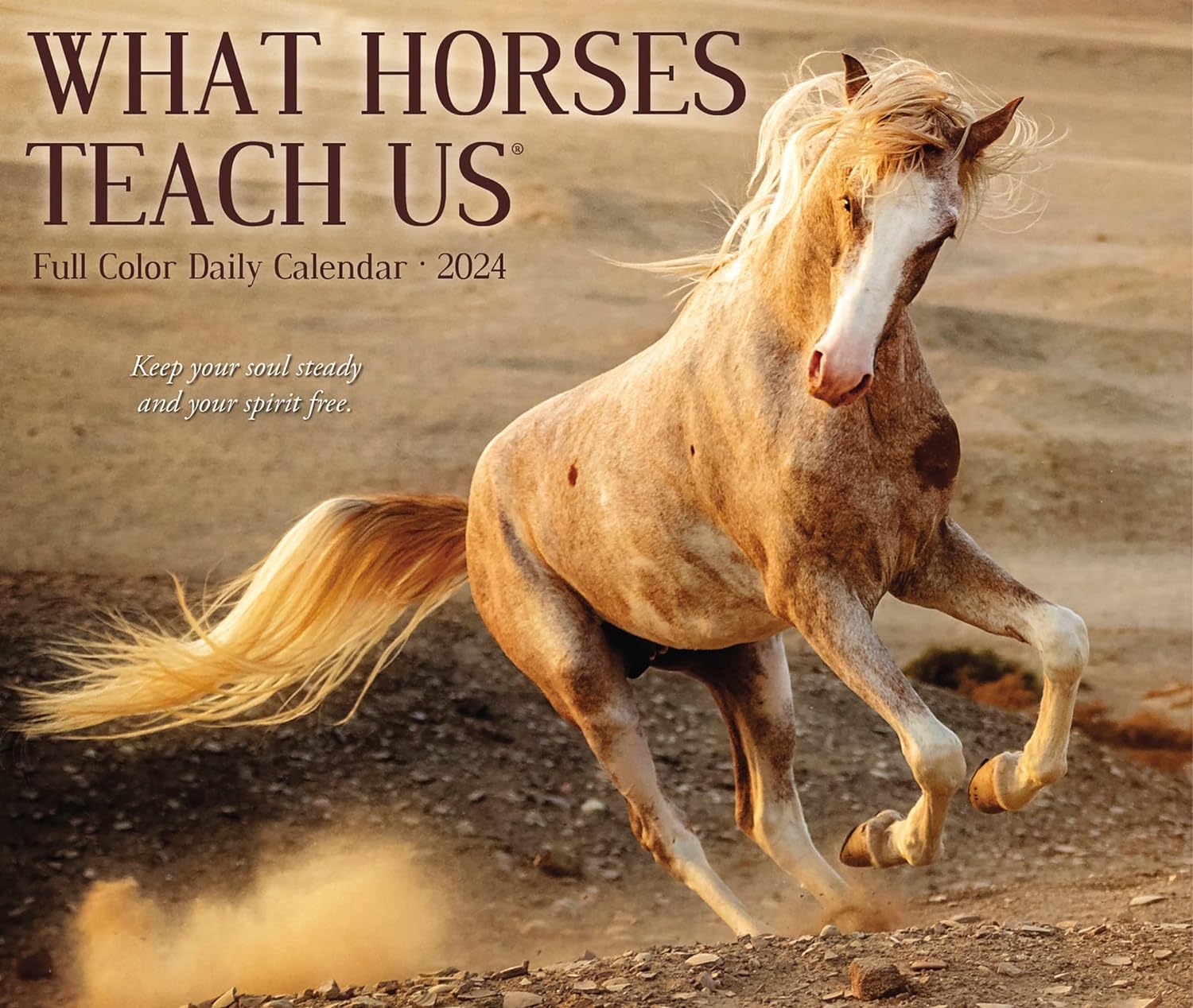What Horses Teach Us Daily 2024 Box/Desk Calendar