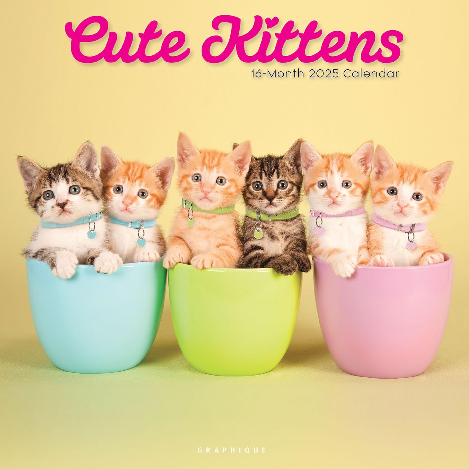 Cute Kittens (Wall Calendar) | Bookazine HK