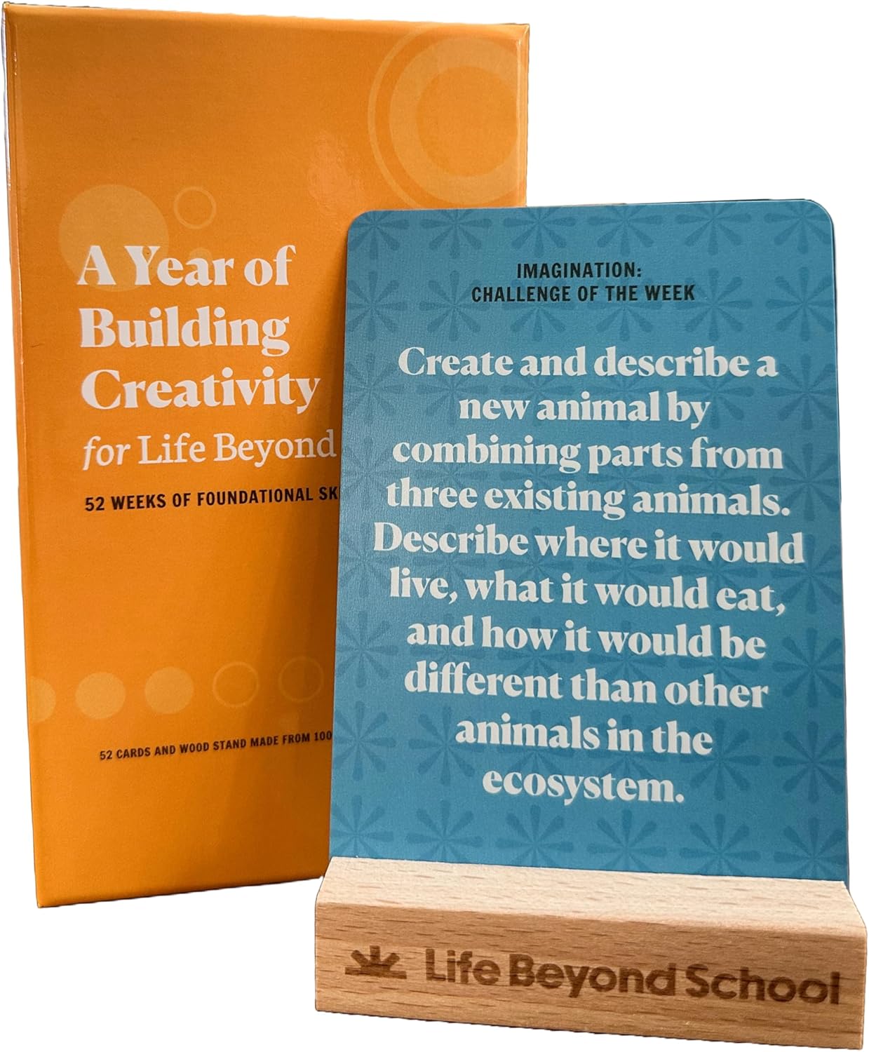 A Year Of Building Creativity | Bookazine HK