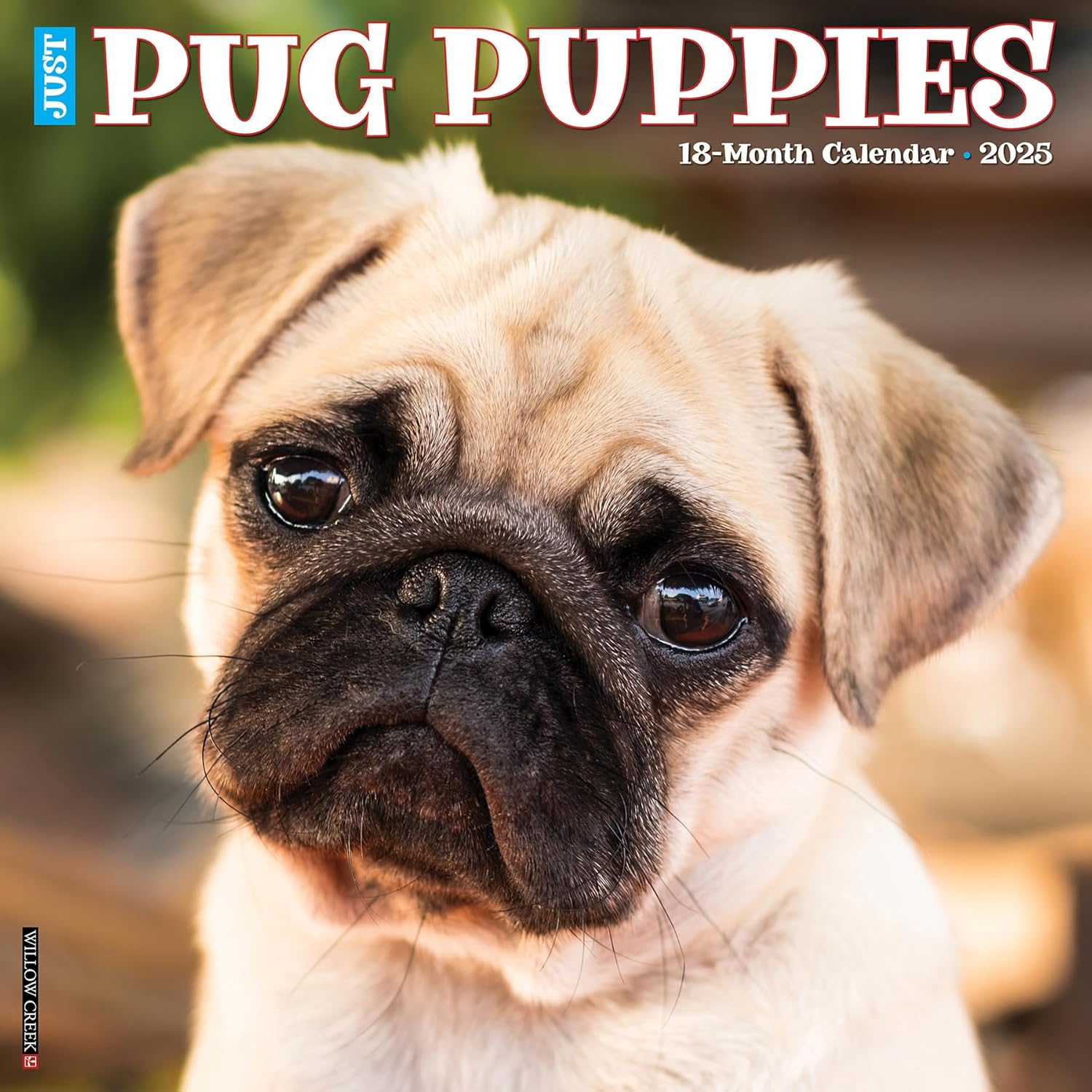 Just Pug Puppies Wall Calendar 2025 | Bookazine HK