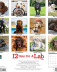 12-uses-for-a-lab-2024-calendar