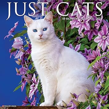 just-cats-2024-calendar