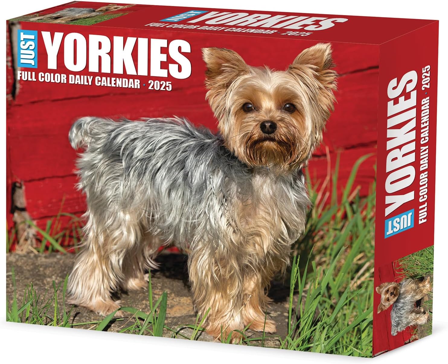 Yorkies Box Calendar 2025 | Bookazine HK