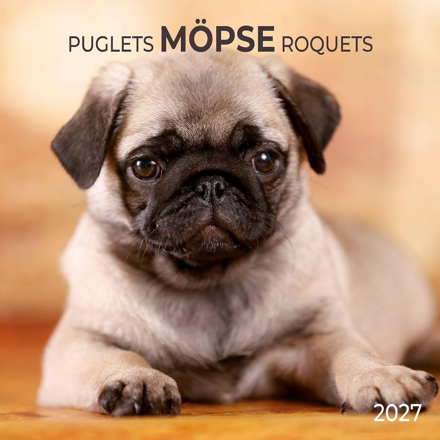 Puglets Wall Calendar With Poster 2027