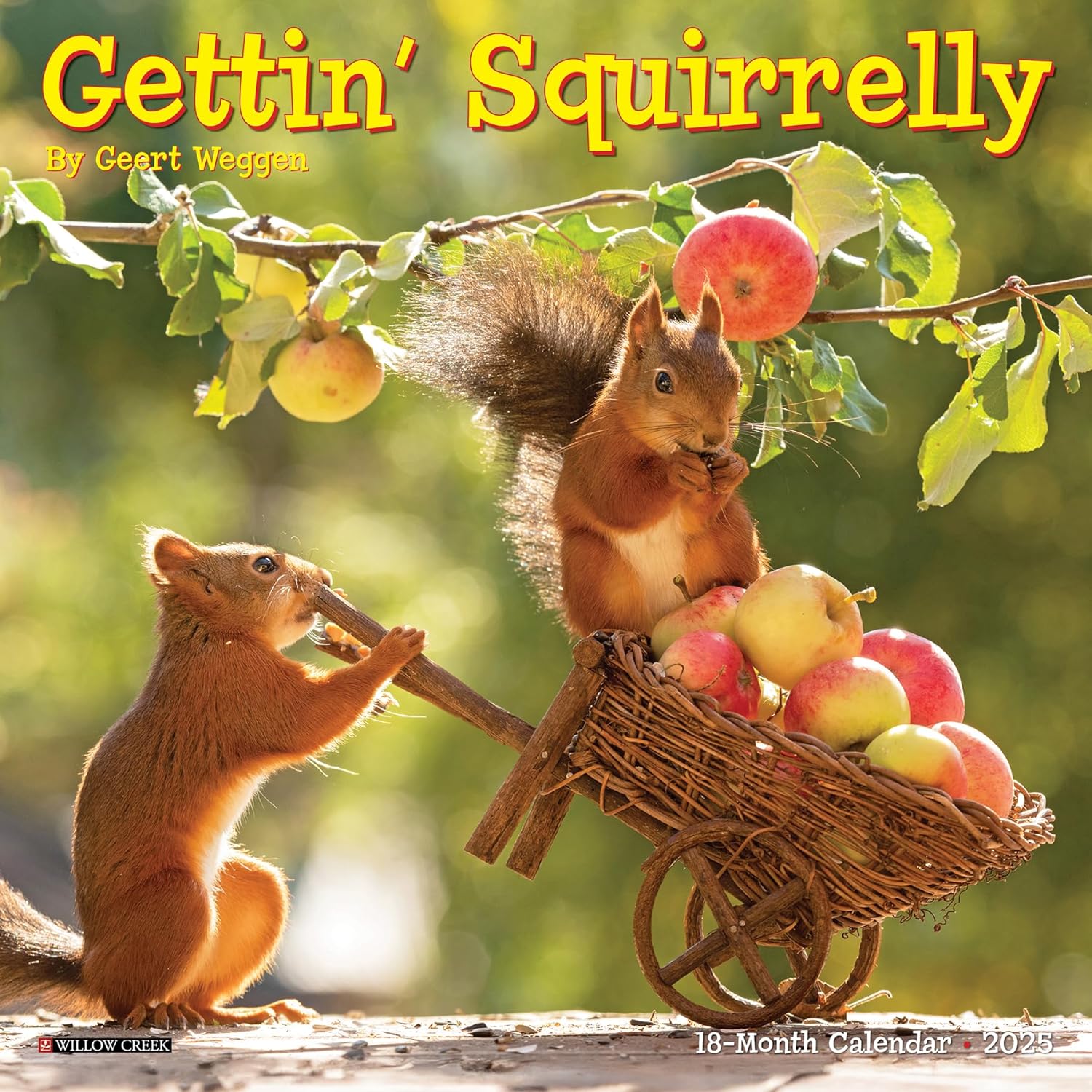 Getting Squirrelly Mini Wall Calendar 2025 | Bookazine HK