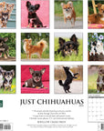 just-chihuahuas-2024-calendar