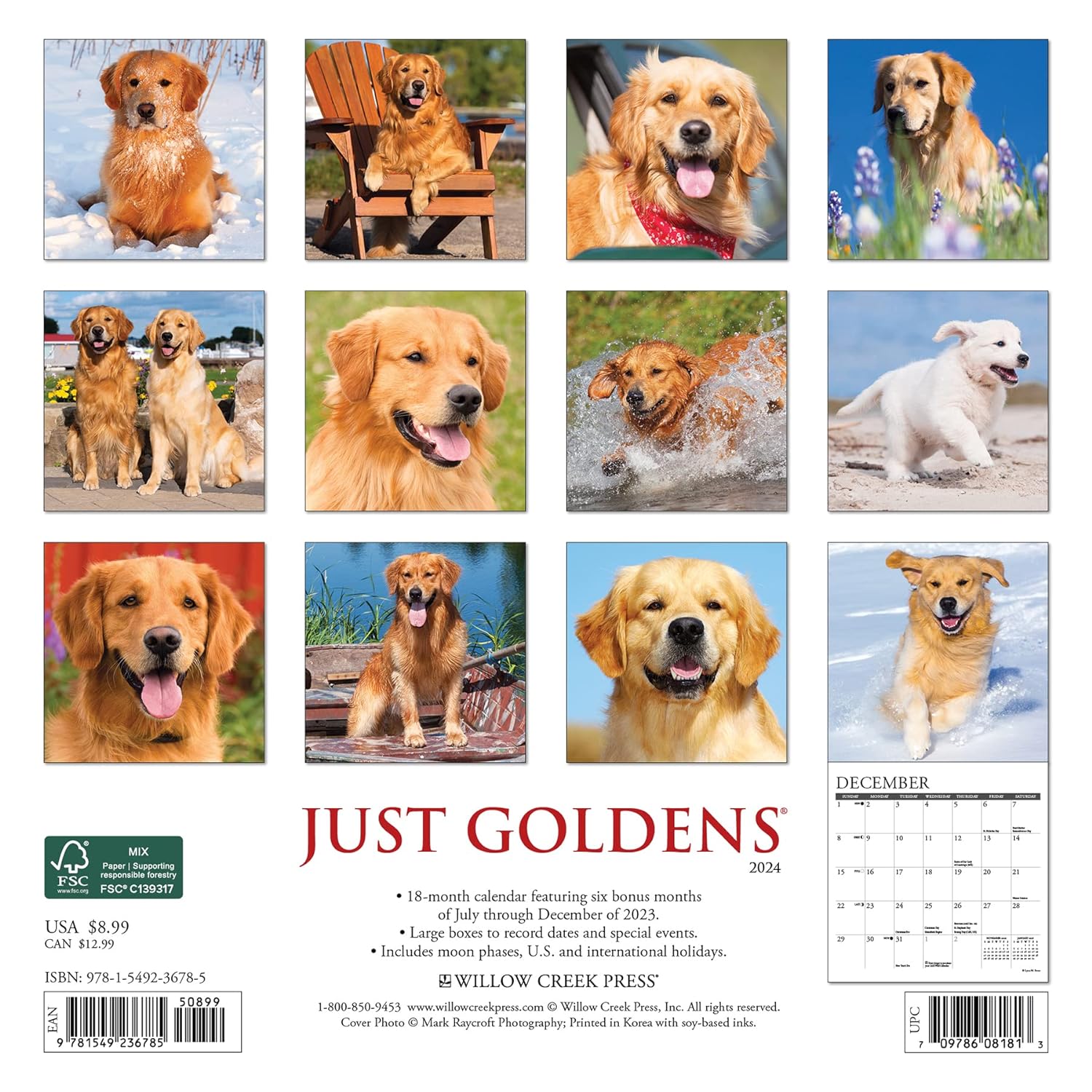 Goldens Monthly Mini 2024 Wall Calendar