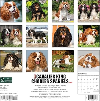 just-cavalier-king-charles-spaniels-2024-calendar