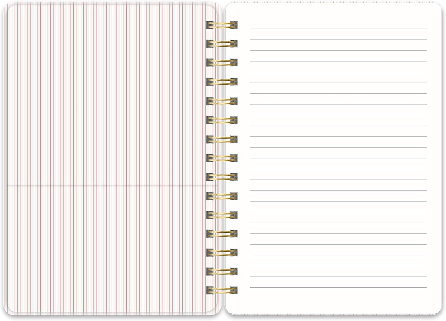 Current Mood Coral Pink Agatha Notebook