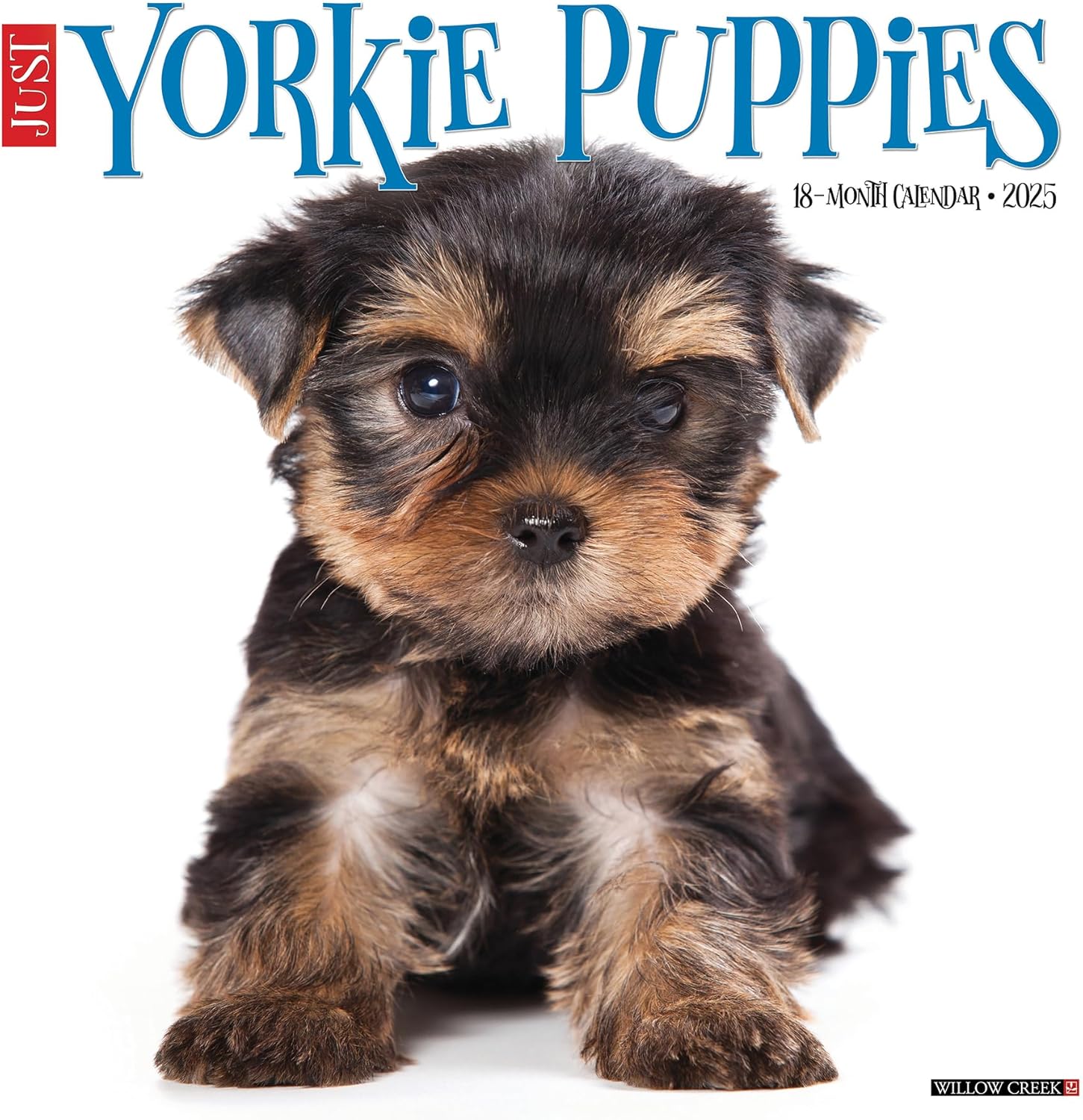 Just Yorkies Wall Calendar 2025 | Bookazine HK