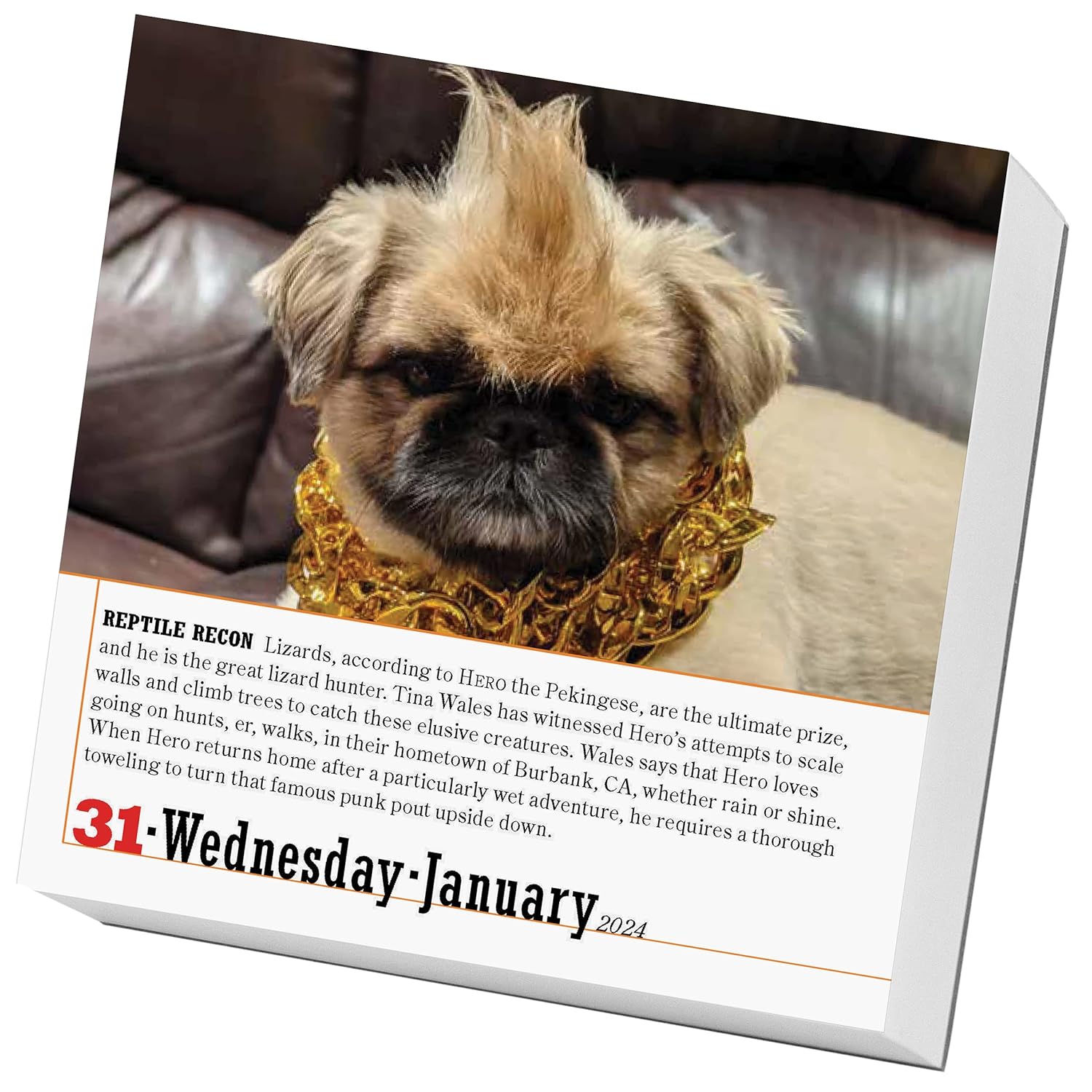 365 Dogs Page-A-Day Calendar 2024