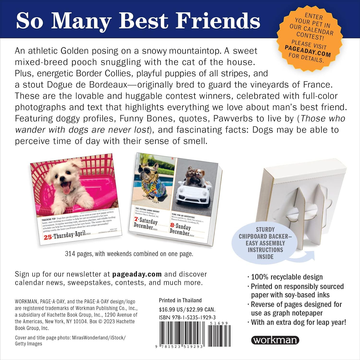 365 Dogs Page-A-Day Calendar 2024