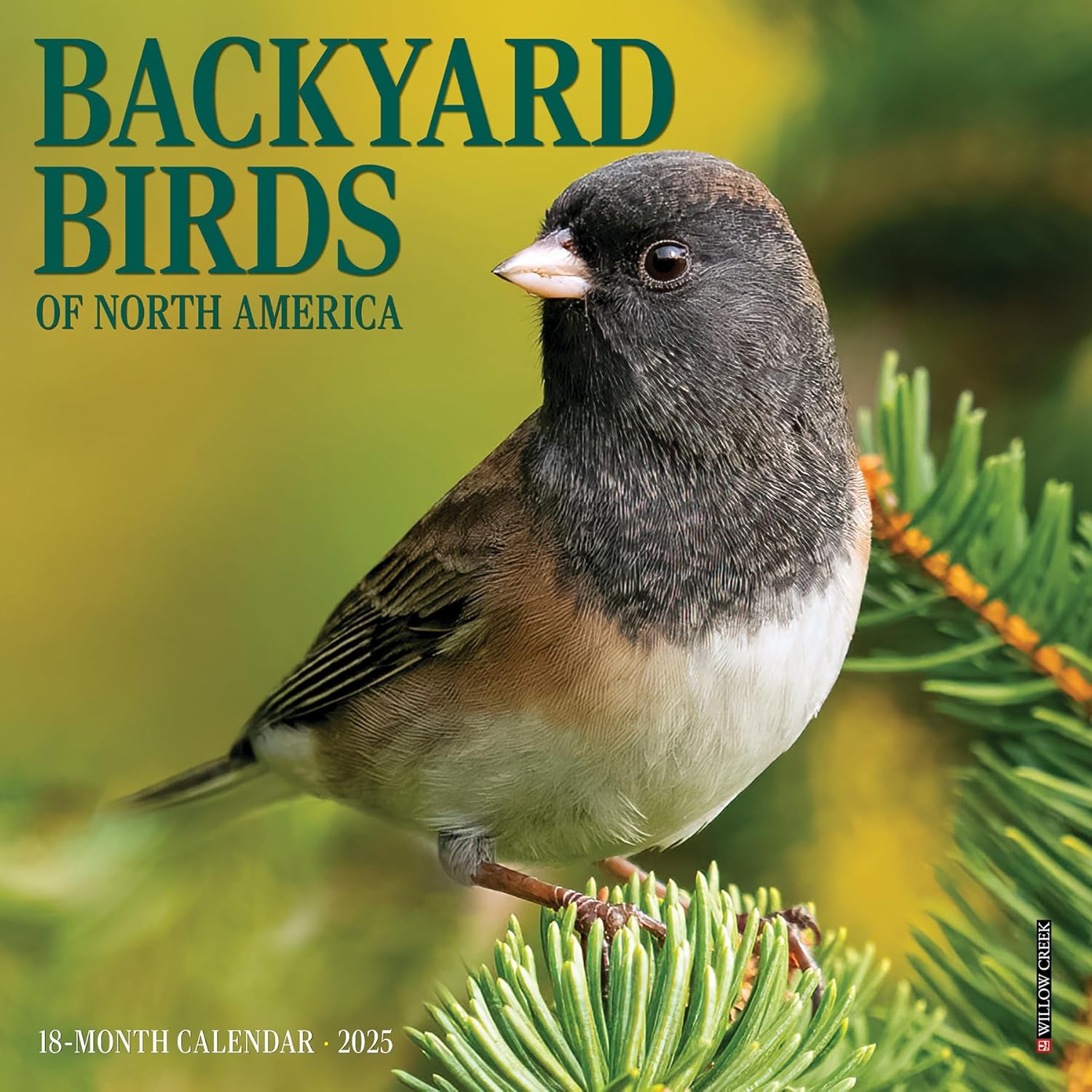 Backyard Birds Mini Wall Calendar 2025 | Bookazine HK