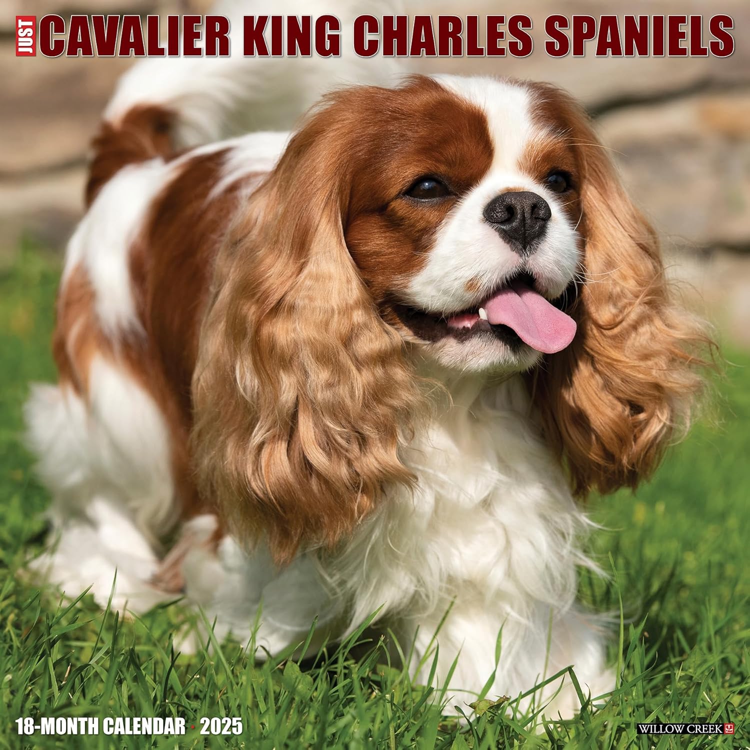 Just Cavalier King Charles Spaniel Wall Calendar 2025 | Bookazine HK