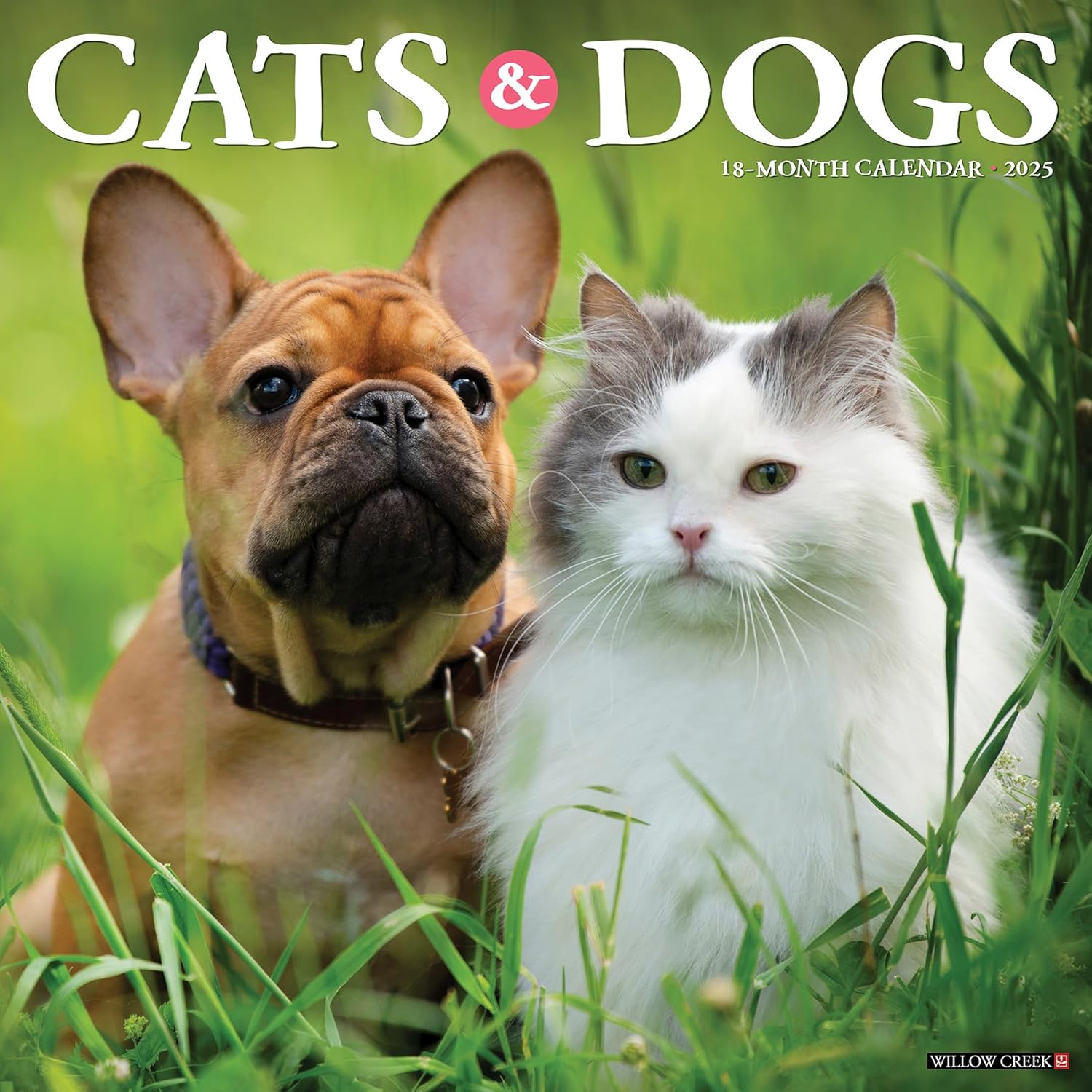 Cats & Dogs Wall Calendar 2025 | Bookazine HK