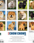 just-chow-chows-2024-calendar