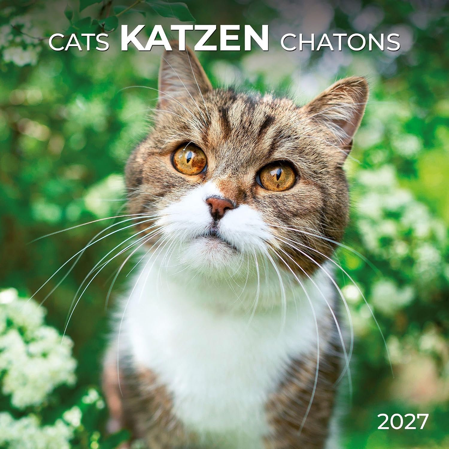Cats Wall Calendar With Poster 2027