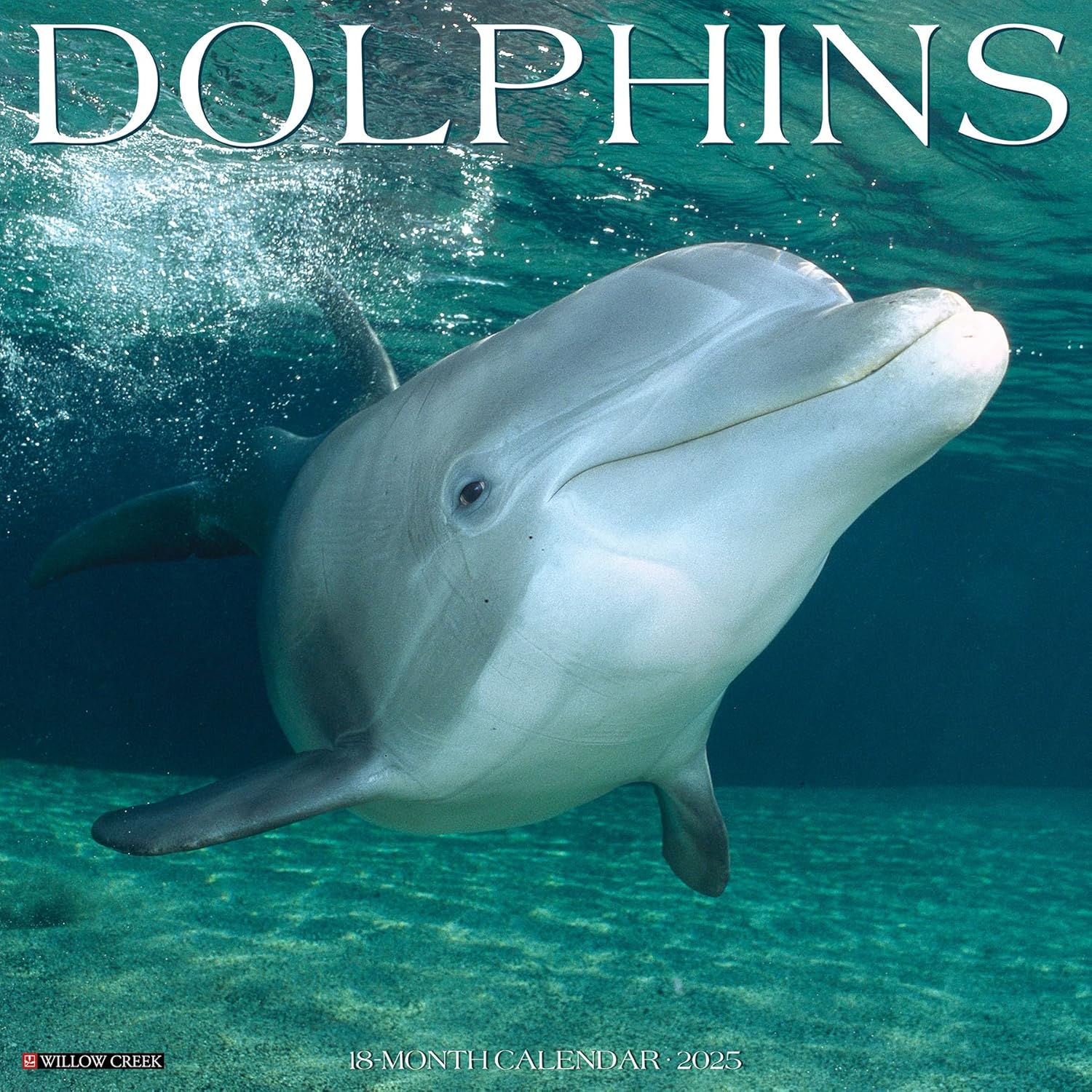 Dolphins Wall Calendar 2025 | Bookazine HK