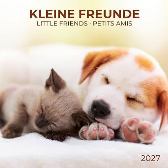 Little Friends Wall Calendar With Poster 2027
