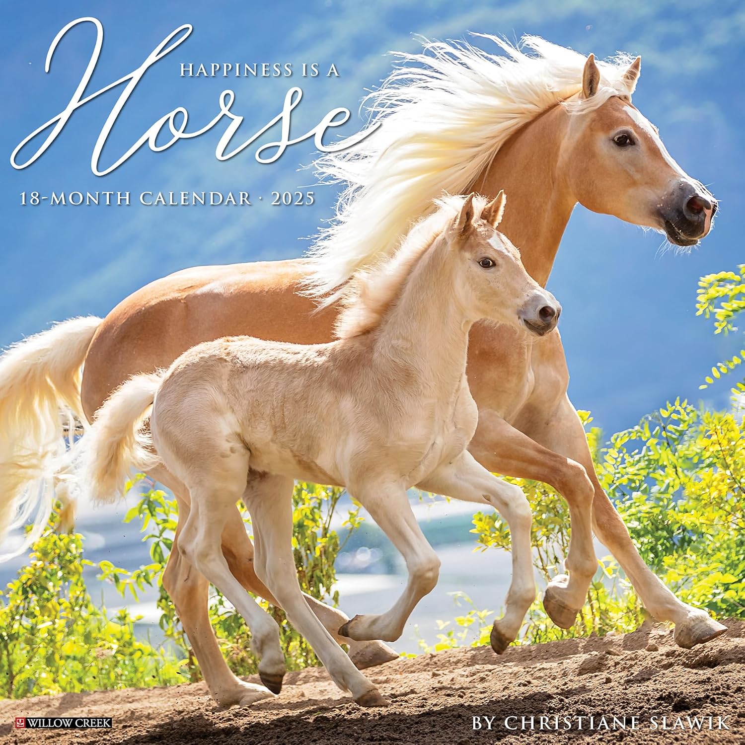 Happiness Is A Horse Wall Calendar 2025 | Bookazine HK