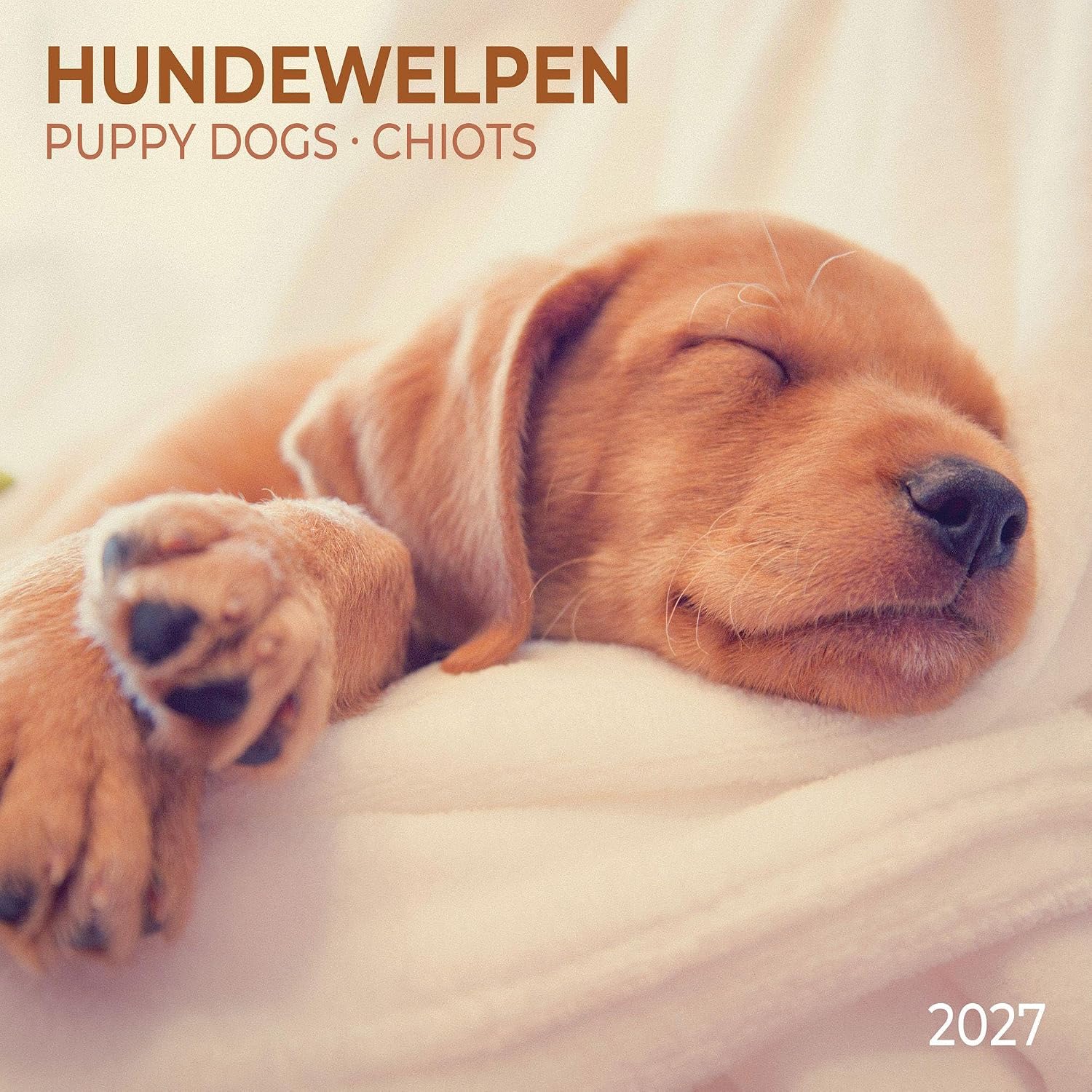 Puppy Dogs Wall Calendar With Poster 2027