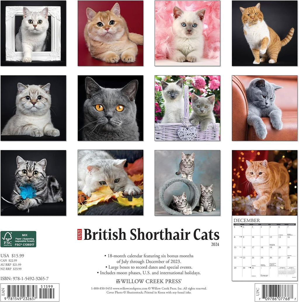 British Shorthair Cats 2024 Calendar Bookazine HK