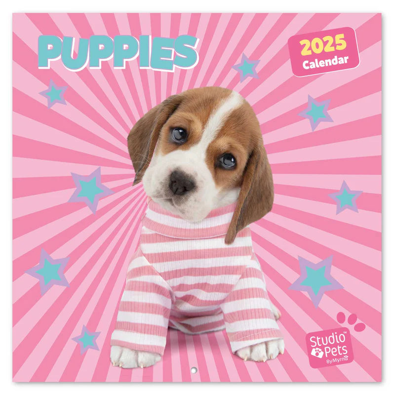 Studio Pets: Puppies Wall Calendar 2025 | Bookazine HK