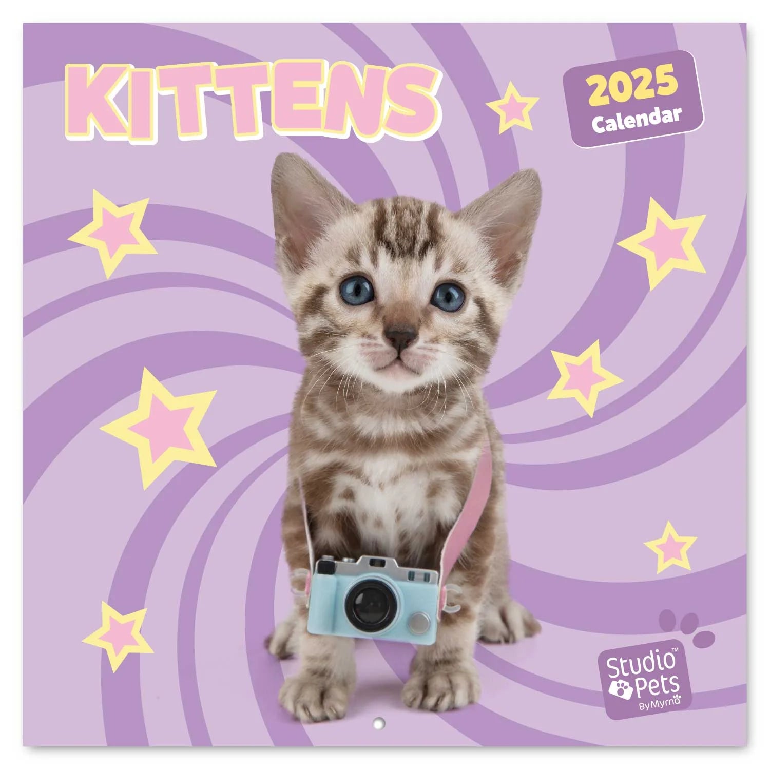 Studio Pets: Kittens Wall Calendar 2025 | Bookazine HK