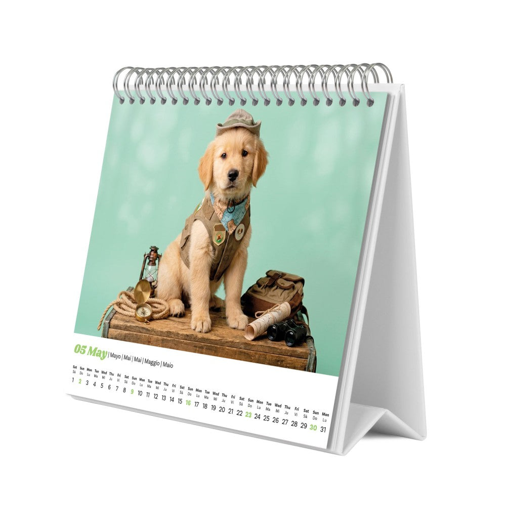 Puppies 2027 Desk Calendar
