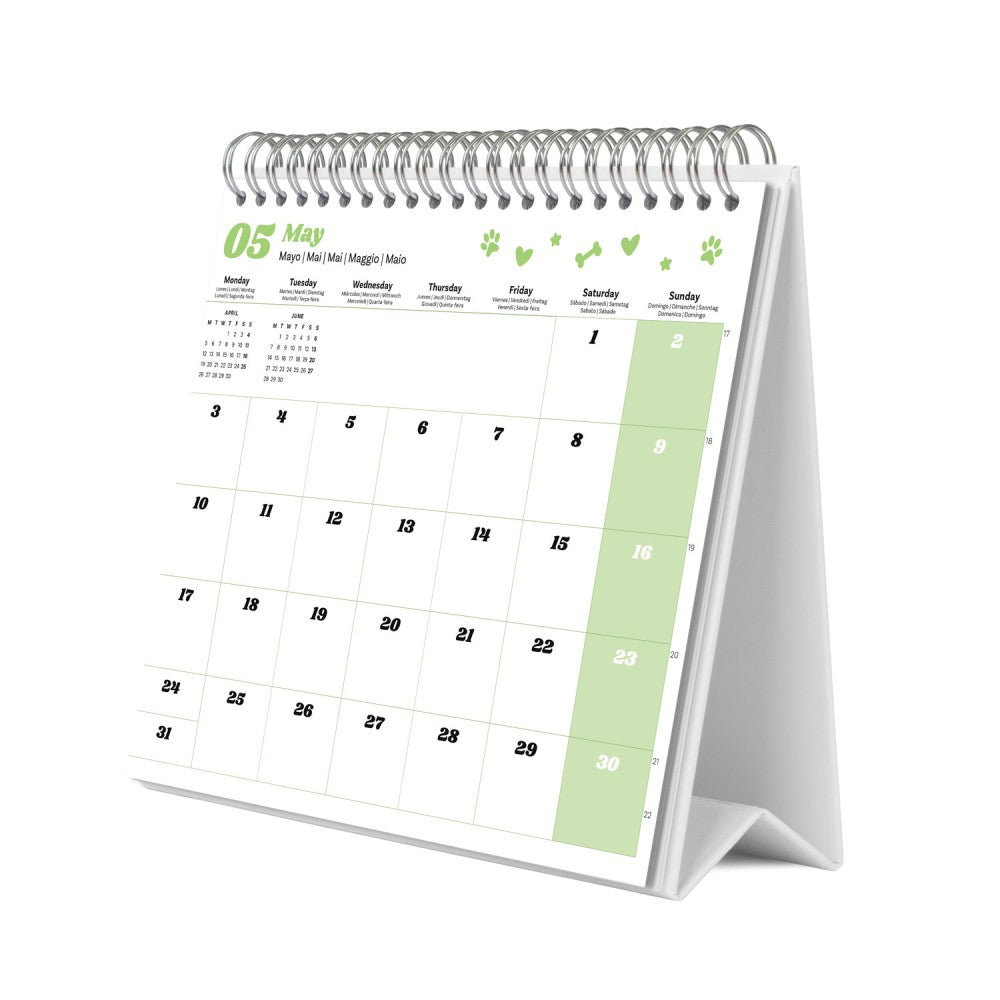 Puppies 2027 Desk Calendar
