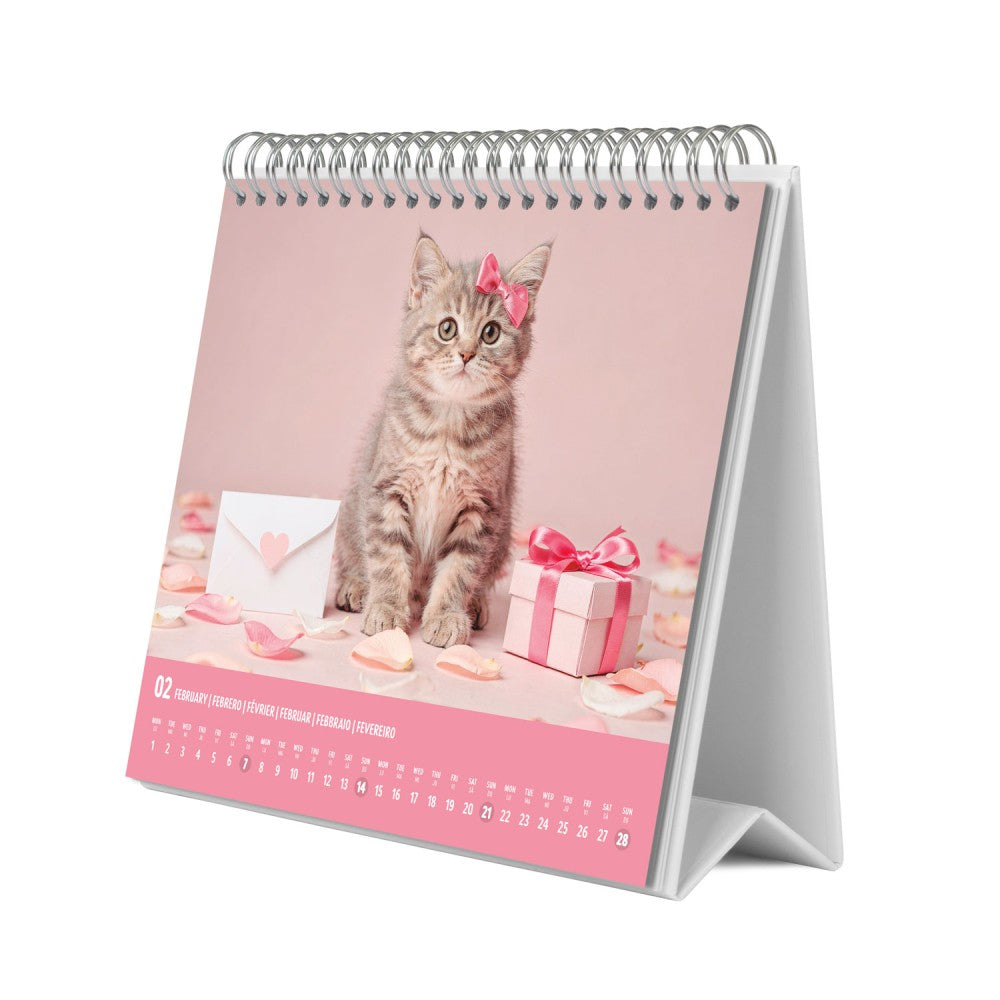 Kittens 2027 Desk Calendar