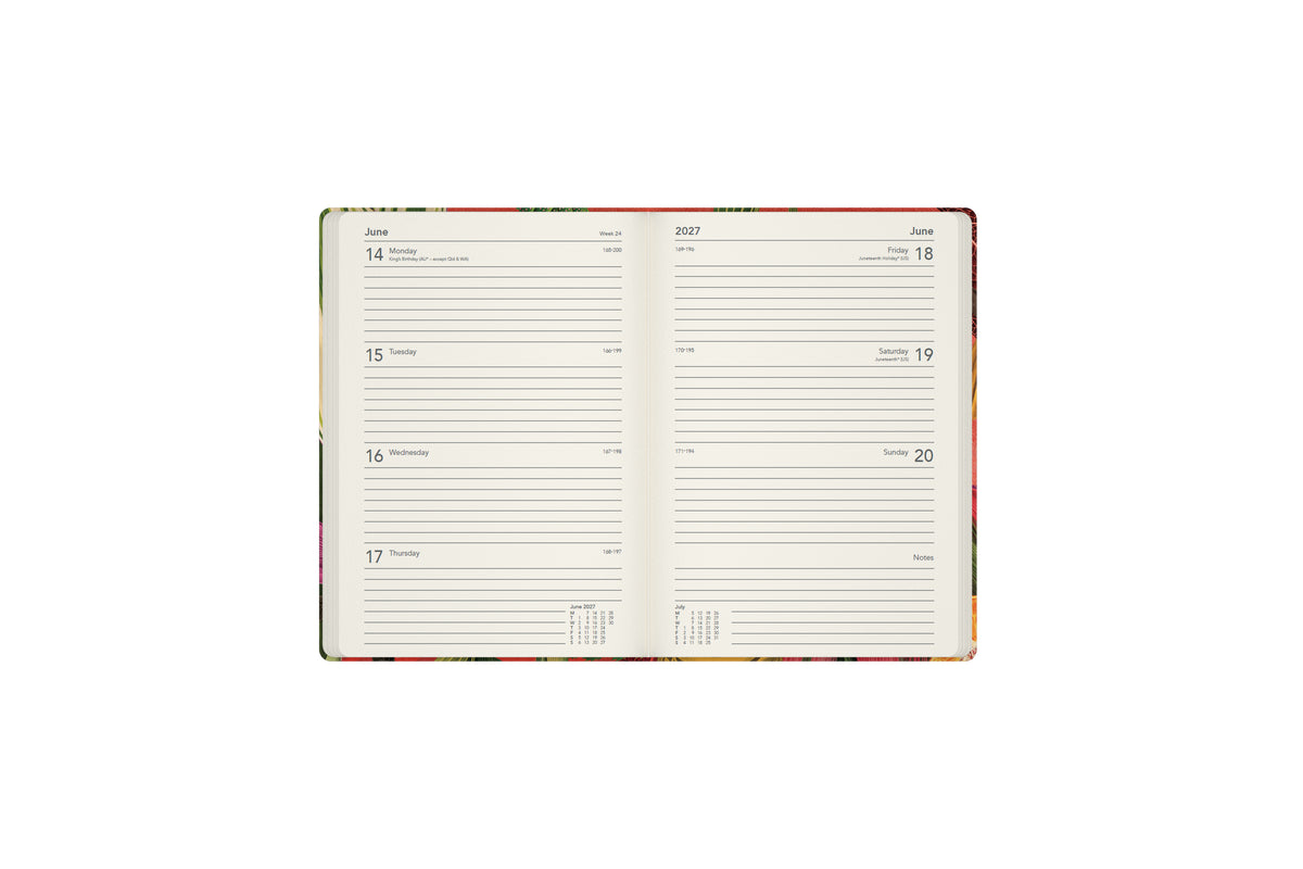 2027 Modern Organic Diary - Turtle