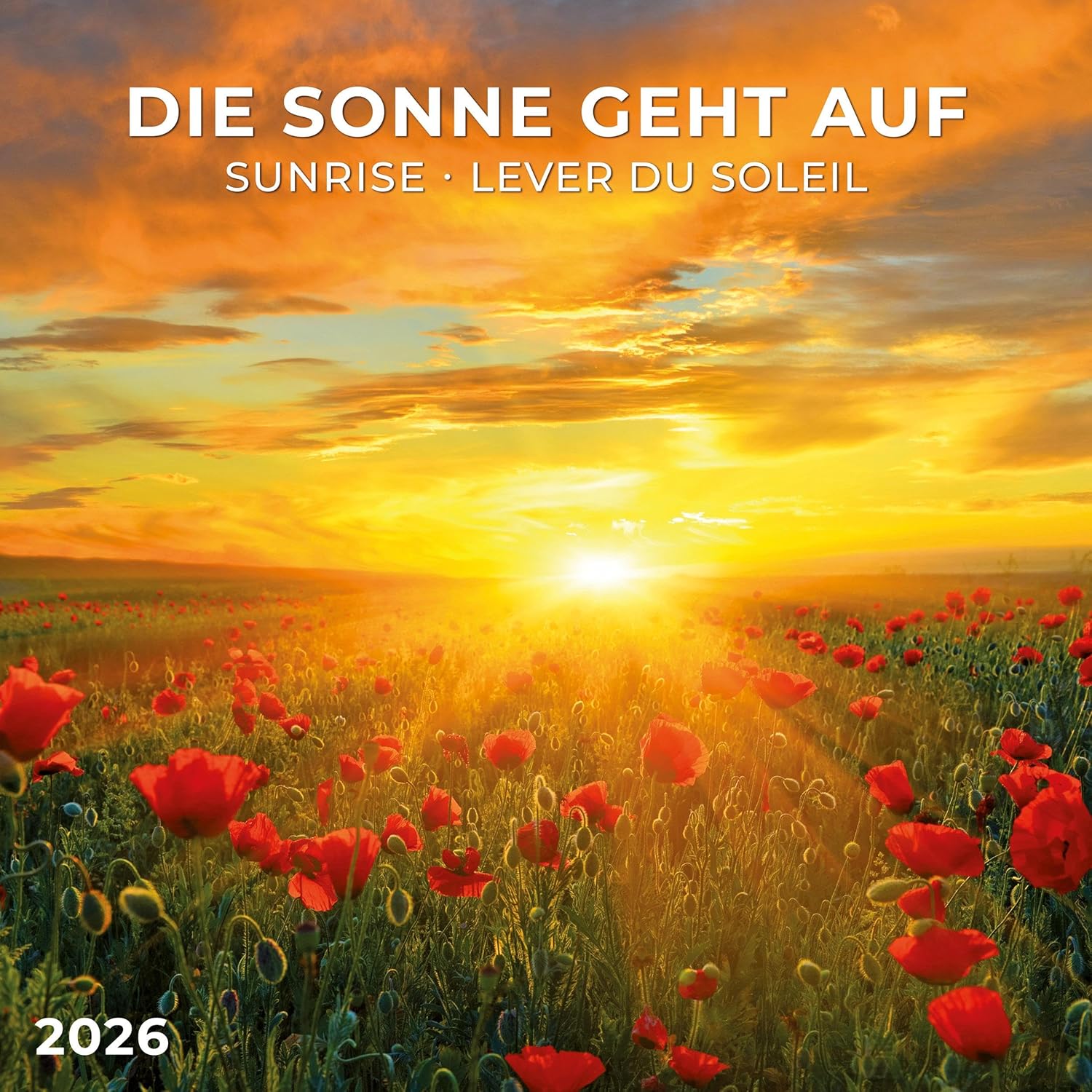 Sunrise Wall Calendar 2026 | Bookazine HK