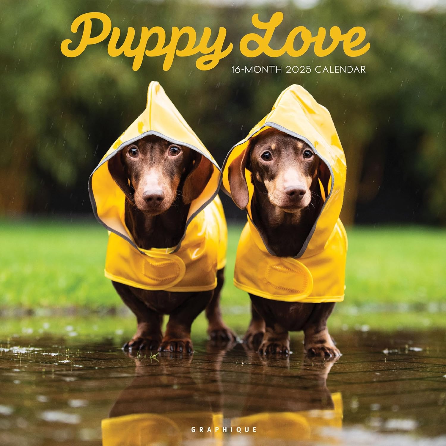 Puppy Love (Wall Calendar) | Bookazine HK