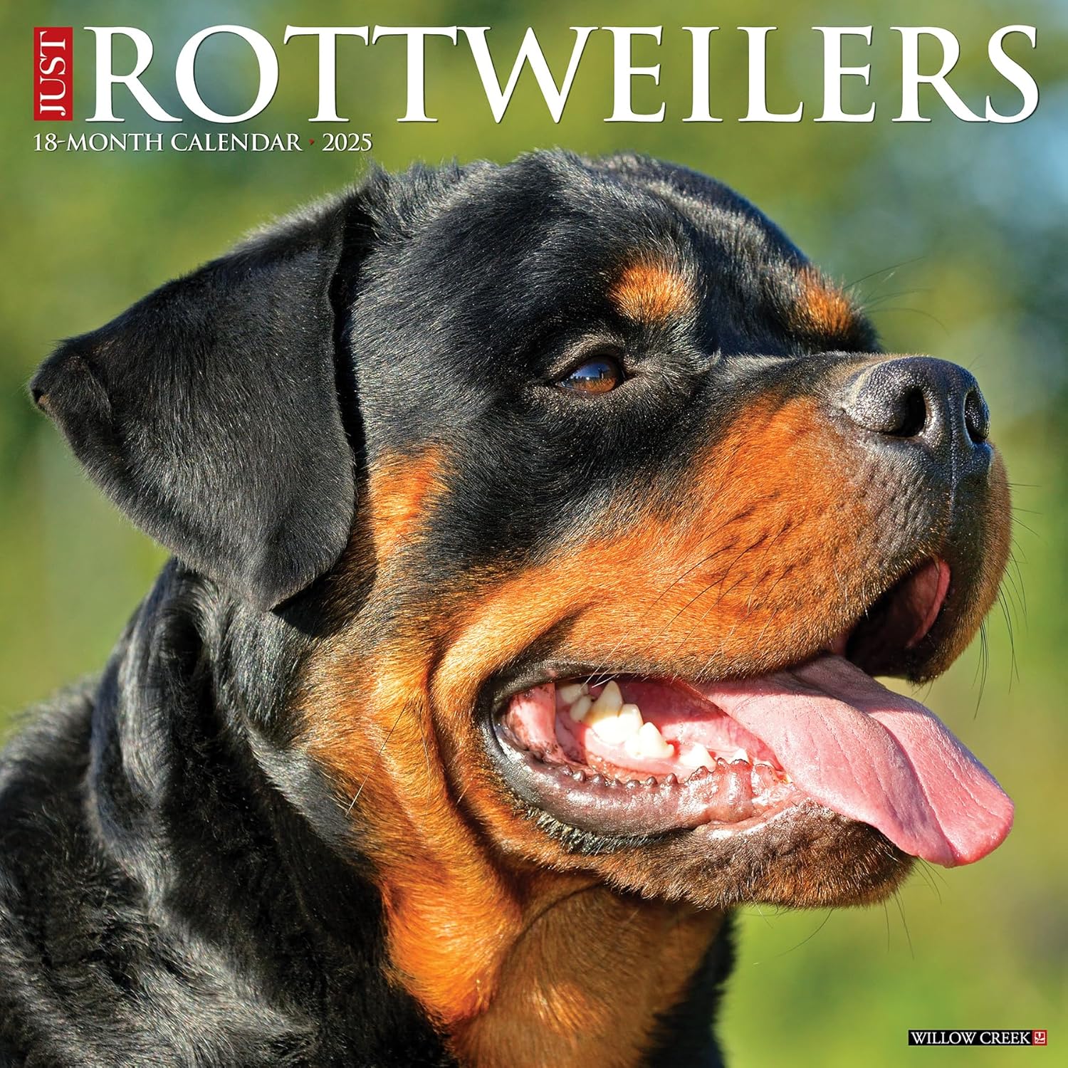 Just Rottweilers Wall Calendar 2025 | Bookazine HK