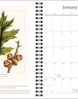 New York Botanical Garden 2027 Planner Calendar