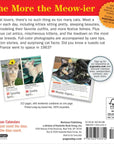 365 Cats 2027 Box Calendar